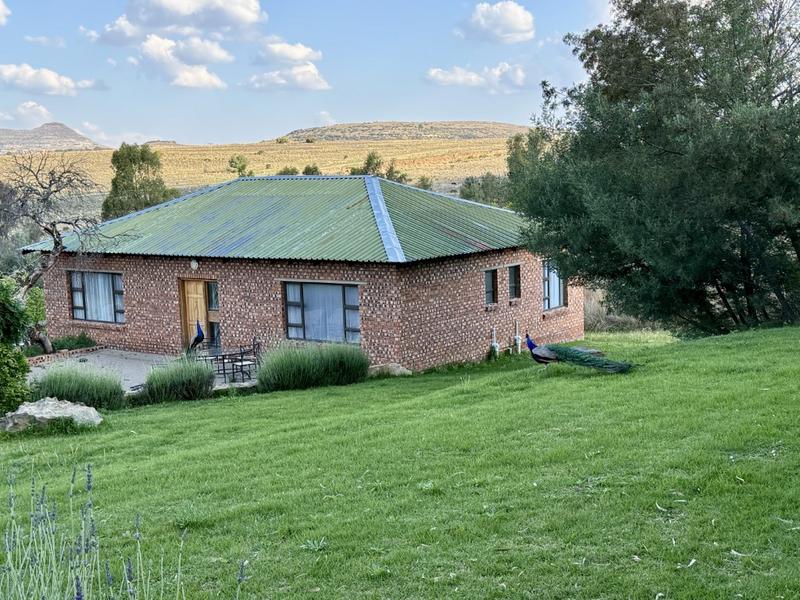 20 Bedroom Property for Sale in Paul Roux Free State